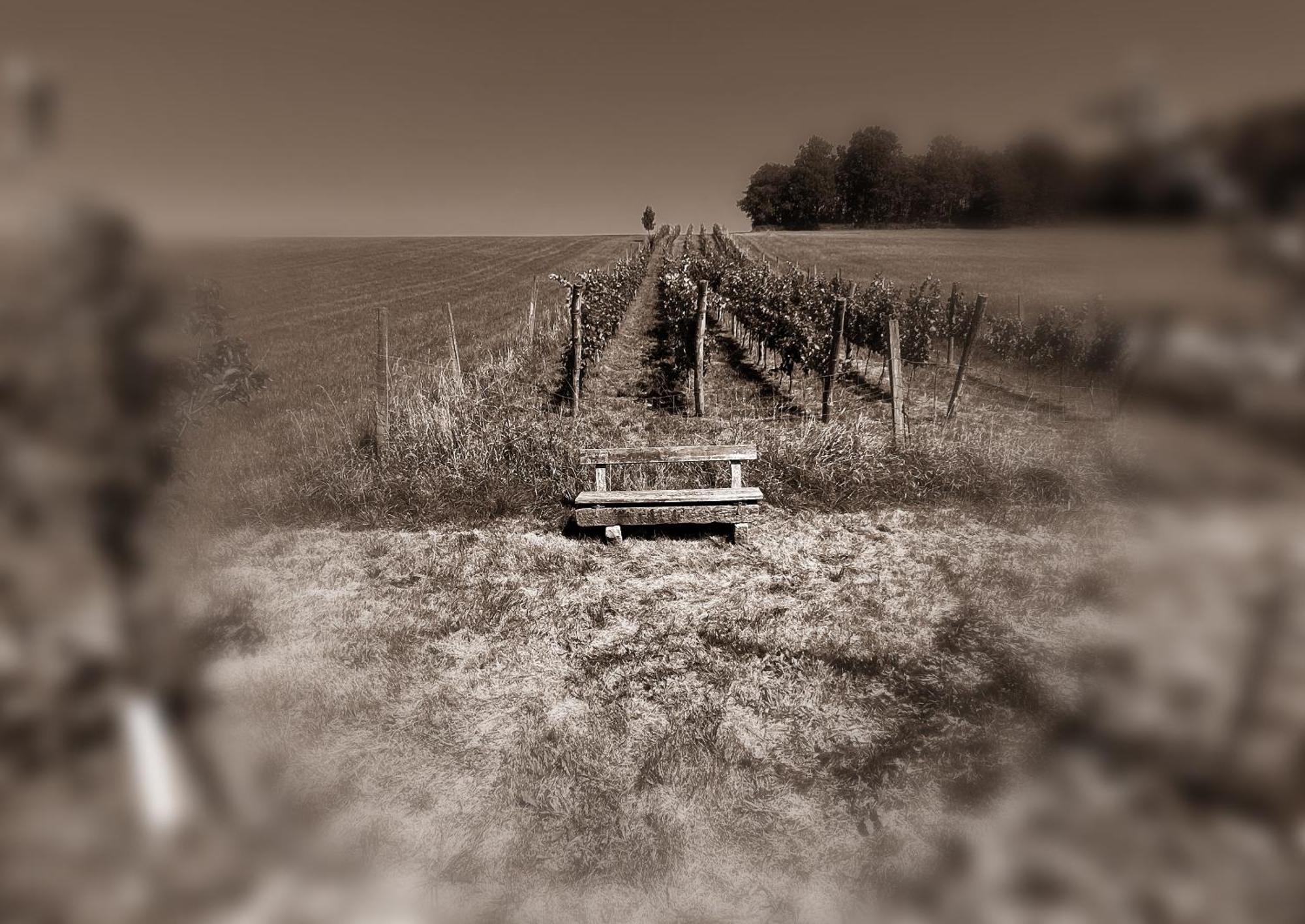 Osternacherhof Buitenkant foto