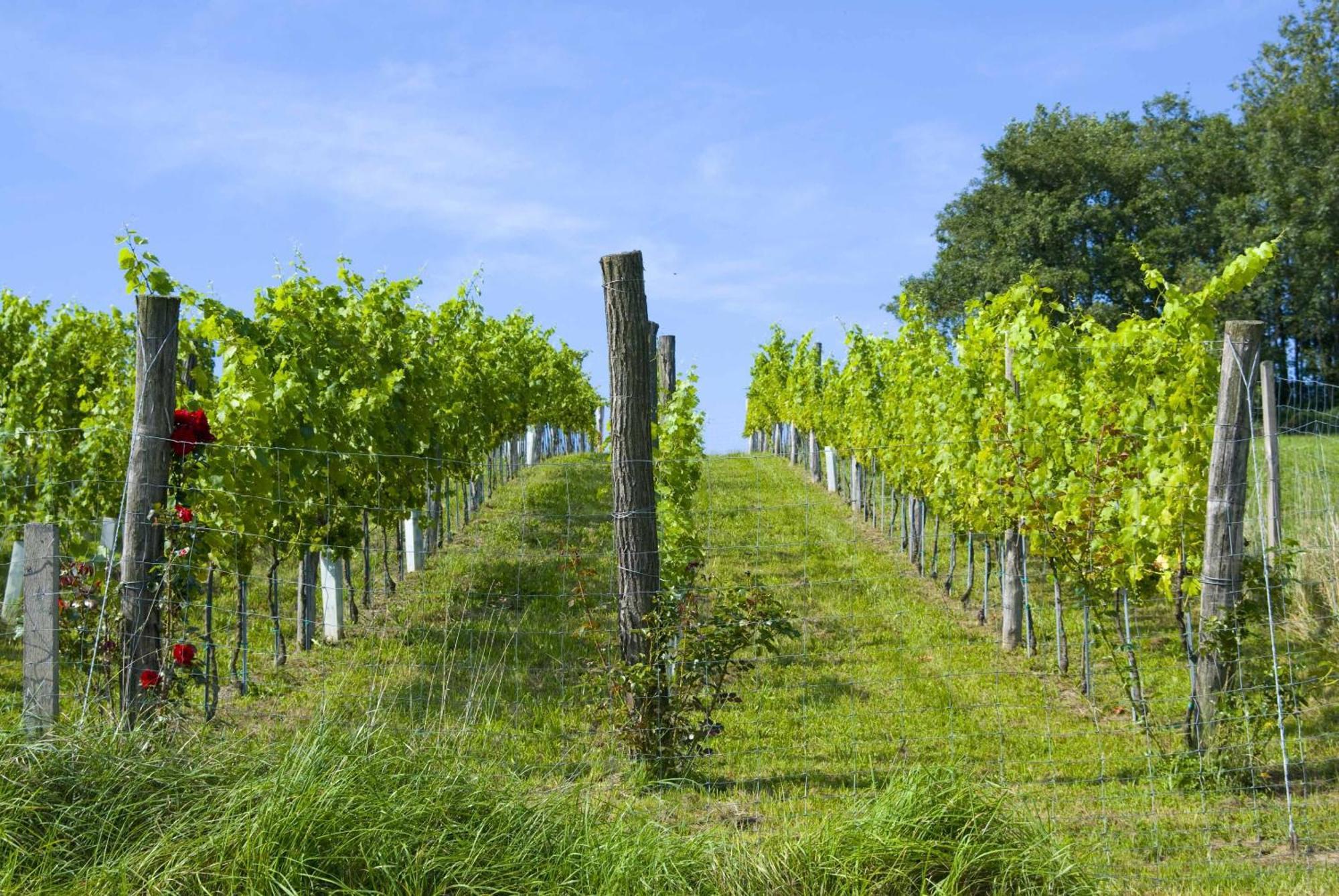 Osternacherhof Buitenkant foto